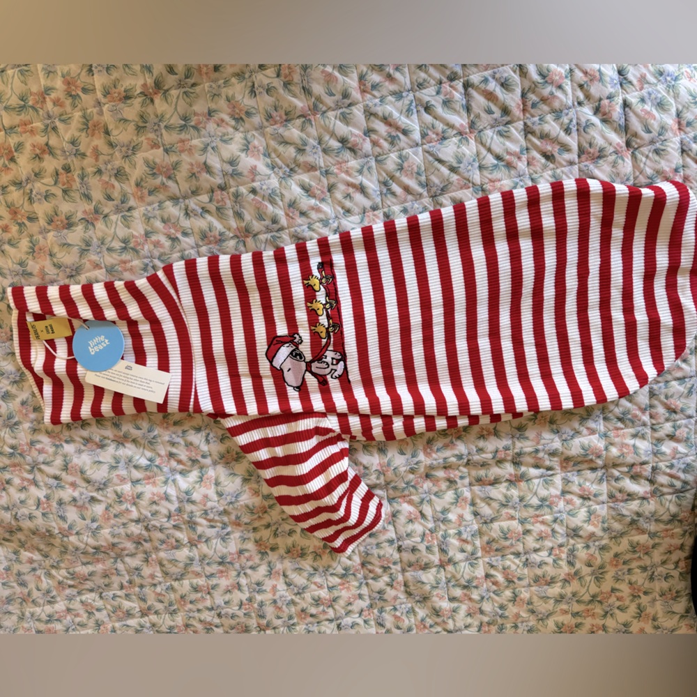 Little Beast X Peanuts